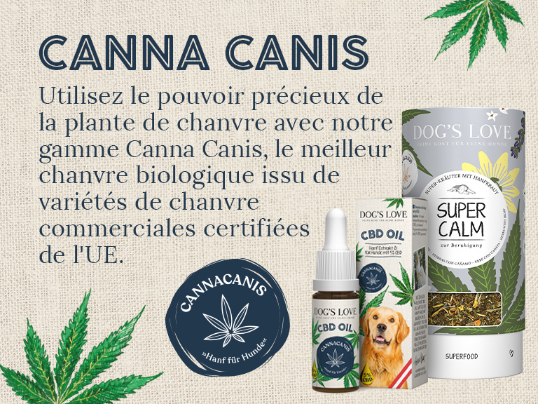 CBD Header