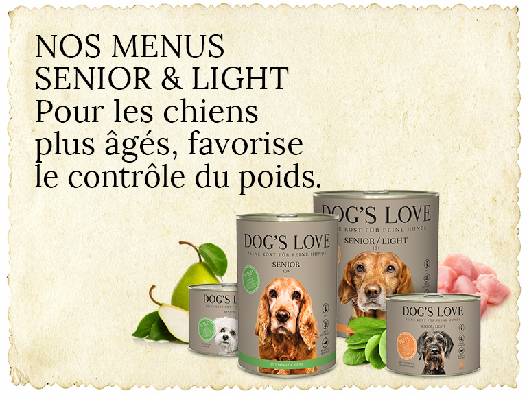 Senior Hundefutter Header