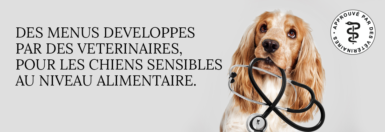 Hypoallergenique alimentation