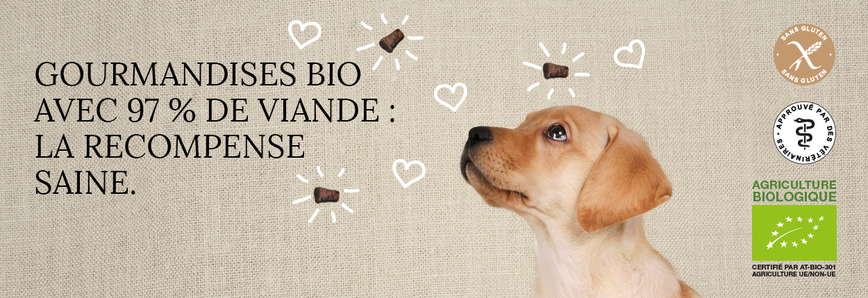 Friandises Chiens